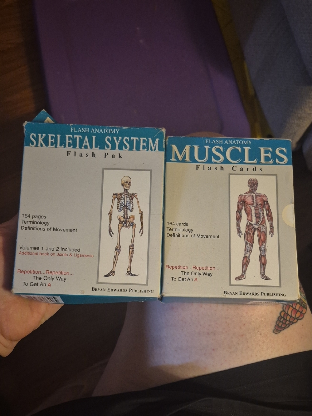 FLASH ANATOMY Skeletal System & Muscles Flash Cards - Blue/White